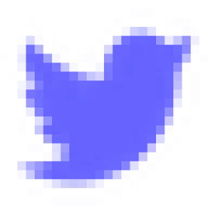 Twitter X 新账号及多种养号类型