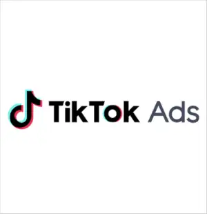 Tiktok ADS账户